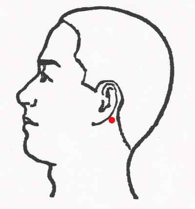 dokko pressure point behind ear